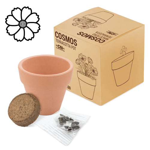 Maceta terracota con semillas