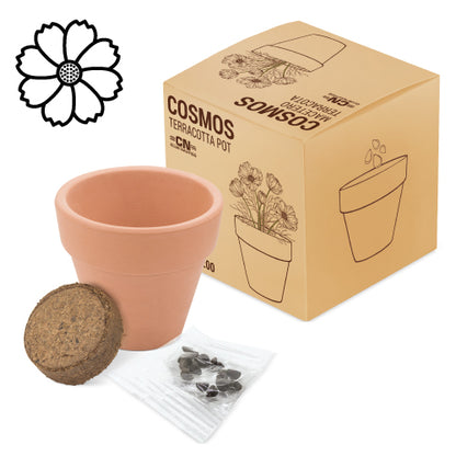 Maceta terracota con semillas