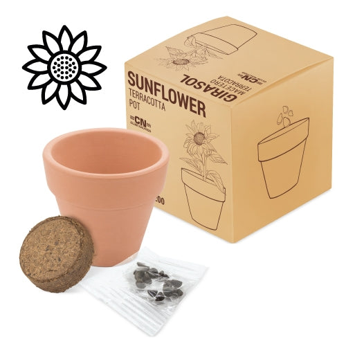 Maceta terracota con semillas