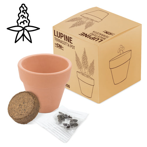 Maceta terracota con semillas